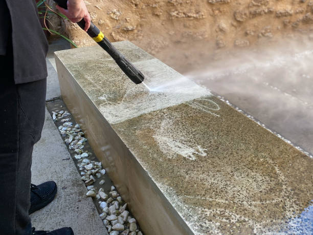Best Affordable Power Washing  in Zellwood, FL