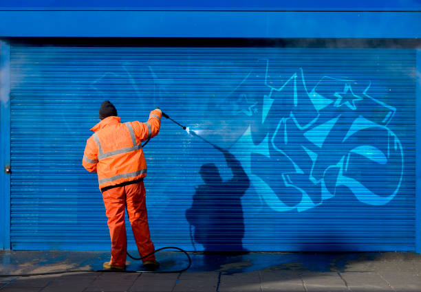 Best Best Pressure Washing Companies  in Zellwood, FL