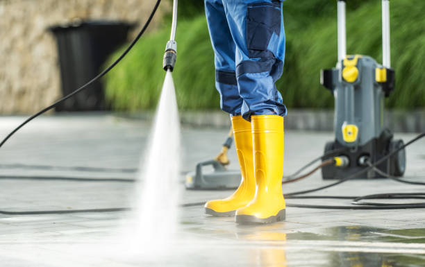 Best Power Washing Near Me  in Zellwood, FL