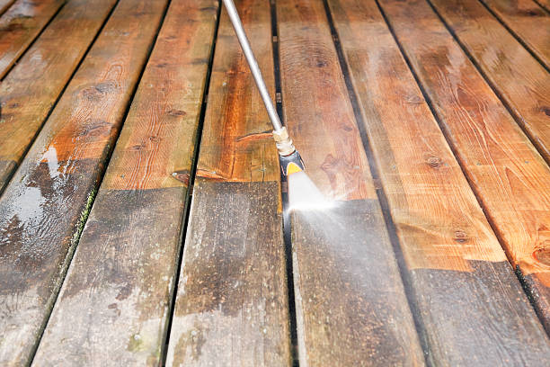 Best Commercial Pressure Washing  in Zellwood, FL
