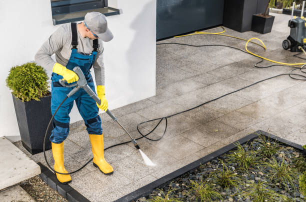 Best Exterior Home Cleaning  in Zellwood, FL