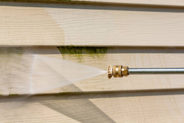 Best Affordable Pressure Washing  in Zellwood, FL